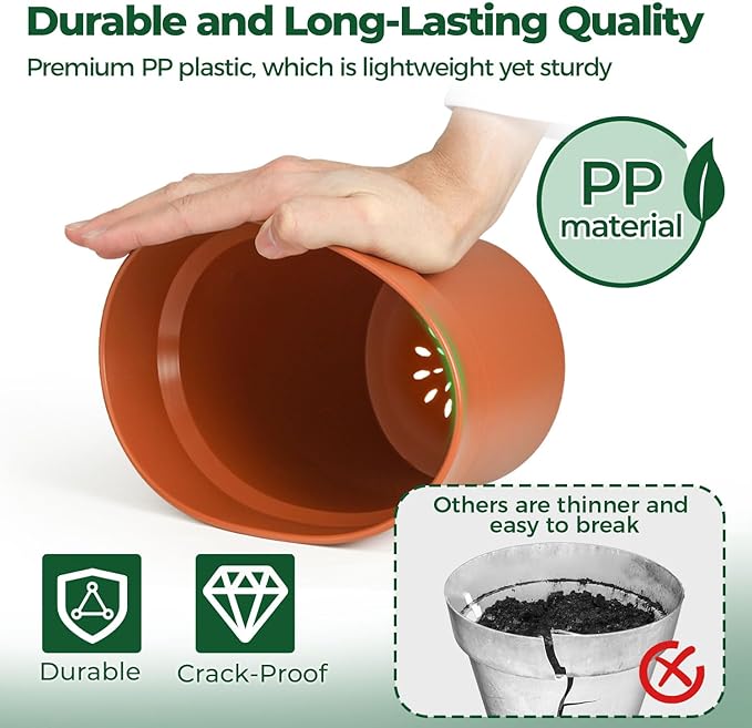 T4U 6 Inch Plant Pot 8-Pack, Plastic Planter with Drainage Hole and Saucer, Decorative Nursery Pots Bulk for African Violet, Snake Plant, Succulent, Herb and Plants Indoor (8 Pcs 6" Pots)