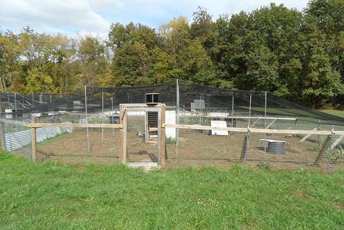 Poultry Netting 1" or 2" Mesh Heavy Knotted Nets Aviary Gamefowl Quail Chicken Bird Block Net Long Lasting Break/Burst 85/245 lb Polyethylene 8-10 Year Lifespan (100' X 100', 2)