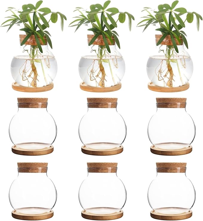 Plant Propagation Station,Hydroponic Glass Container Vase Jars, with Wooden Saucer for Desks, Houses, Garden Decorations, Home Kitchen Decorations and Gifts for Plant Lovers (9)