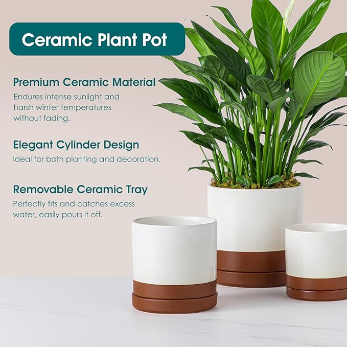 vancasso Ceramic Plant Pots, 3 Piece Planters for Indoor Plants, 4.25+5.25+6.25 Inch Flower Pots with Drainage, Plant Pots Indoor for Succulent, Pothos, Snake Plant and Money Tree, Etc (Khaki)