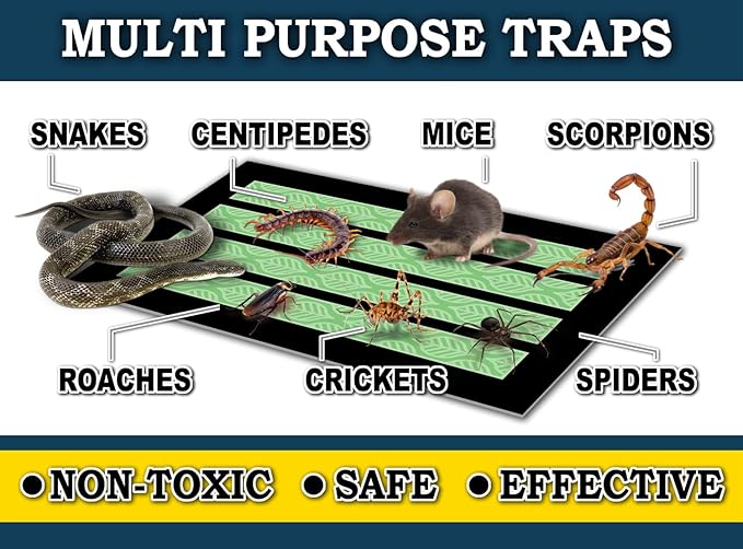 MaxGuard MaxGrip Glue Traps (24 Traps) Non-Toxic Extra Sticky Glue Board Pre-Baited with Fruity Scent Attractant Trap & Kill Insects, Bugs, Spiders, Crickets, Scorpions, Cockroaches, Centipedes, Mice