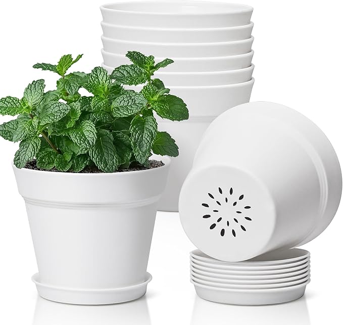 T4U 5 Inch Plant Pot 8-Pack, Plastic Pots with Drainage Hole and Saucer, Decorative Flower Pots Bulk for African Violet, Snake Plant, Succulent and All House Plants Indoor (8pcs 5" Pots, White)