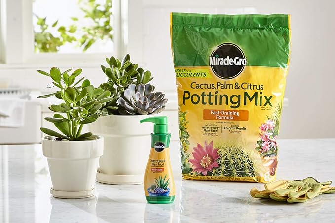 Miracle-Gro Cactus, Palm & Citrus Potting Mix and Succulent Plant Food - Bundle of Potting Soil (8 qt.) and Liquid Plant Food (8 oz.) for Growing and Fertilizing Indoor Succulents