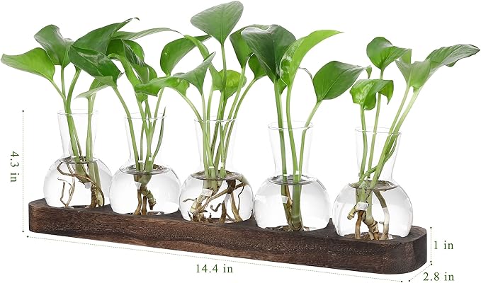YIBOT Plant Propagation Stations,Glass Propagation Vases for Plants Terrarium with Wooden Tray Plant Lover Gifts for Propagating Hydroponic Plants Home Office Decor(5 Vase)