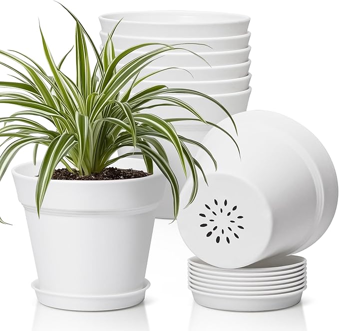 T4U 6 Inch Plant Pot 8-Pack, Plastic Planter with Drainage Hole and Saucer, Decorative Nursery Pots Bulk for African Violet, Snake Plant, Succulent, Herb and Plants Indoor (8 Pcs 6" Pots, White)