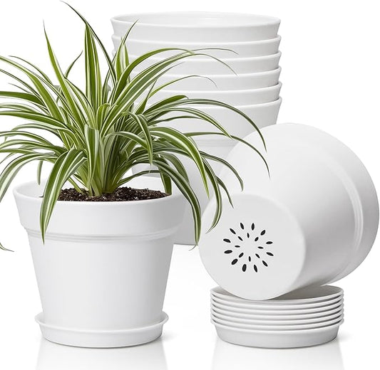 T4U 6 Inch Plant Pot 8-Pack, Plastic Planter with Drainage Hole and Saucer, Decorative Nursery Pots Bulk for African Violet, Snake Plant, Succulent, Herb and Plants Indoor (8 Pcs 6" Pots, White)