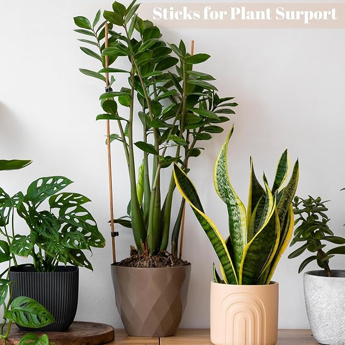 150PCS Marshmallow Roasting Sticks,30 Inch Marshmallow Sticks for Fire Pit 5mm Thick Bamboo Skewers for Smores Roaster Barbecue Grilling Campfire Kebab