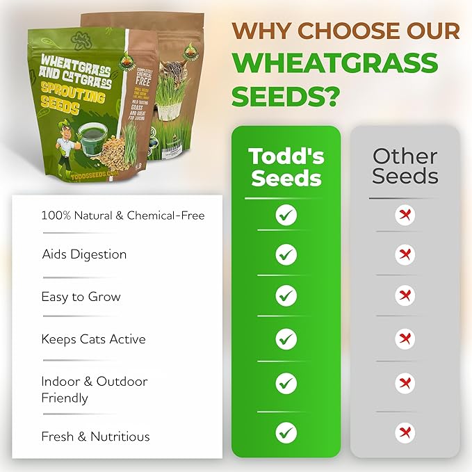 Todd’s Seeds – Cat Grass for Indoor Cats, 1lb Wheatgrass – Premium, Non-GMO, Pet-Safe & Easy to Grow – No Fillers, 100% Chemical-Free