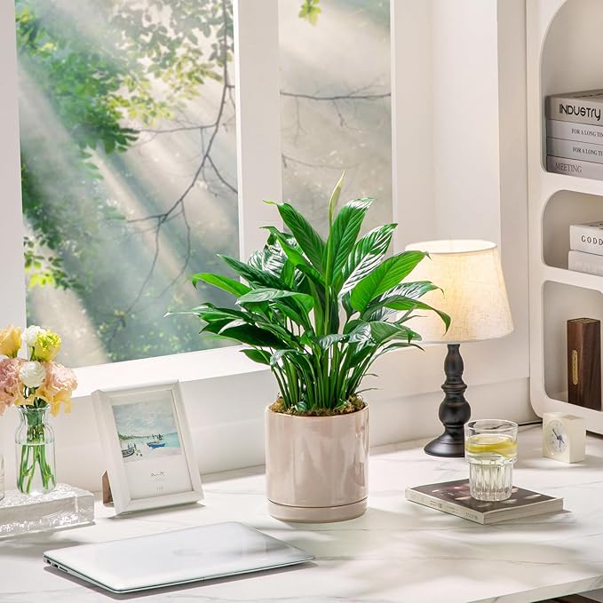 vancasso Ceramic Plant Pots, 3 Piece Planters for Indoor Plants, 4.25+5.25+6.25 Inch Flower Pots with Drainage, Plant Pots Indoor for Succulent, Pothos, Snake Plant and Money Tree, Etc (Gray)