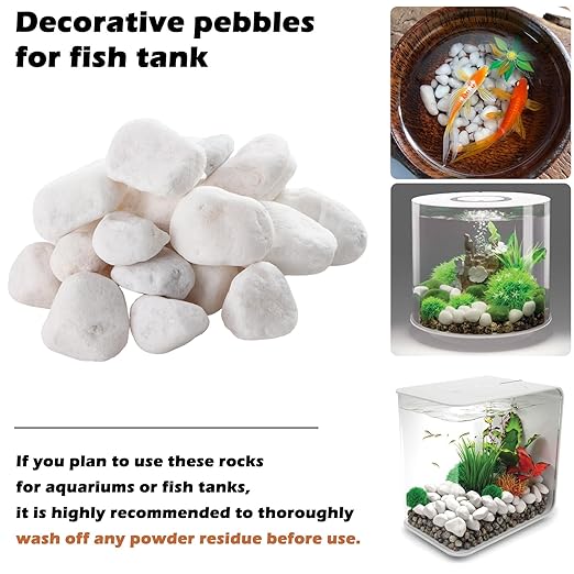11 Lbs Natural River Rocks for Plants 1.6-2.5 inches Large White Landscaping Garden Stones White Aquarium Gravel Decorative Pebbles for Indoor Outdoor Planters Home Decor