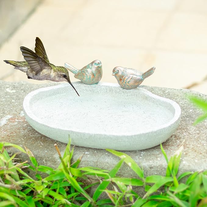 MUMTOP Bird Baths for Outdoors, Outdoor Garden Bird Bath Resin Birdbath Bowl with Vintage Bird Ornament for Outside Yard Table Decor