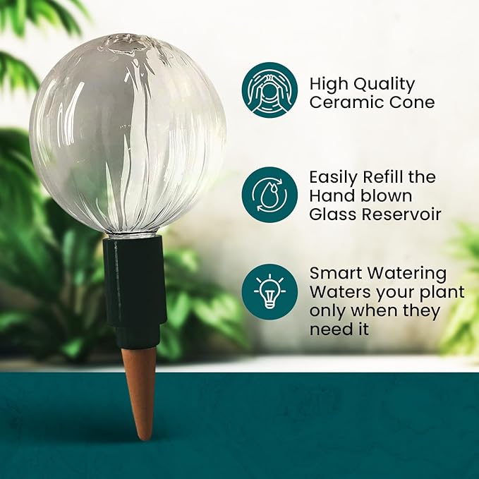 Blumat Glass Plant Self Watering Globes,Automatic Houseplant Drip Irrigation for Indoor Plants, Hanging Plants, Houseplants, Plant Garden Accessories,Vacation Plant Savers,Large Globe Small Adapter