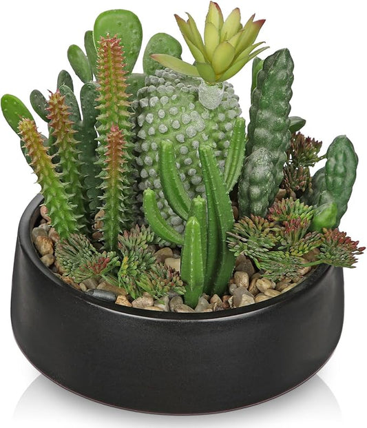 DILATATA Artificial Cactus Plants in Pot 5.5 Inch Fake Succulents Arrangement Potted Plant in Black Ceramic Planter Bowl for Home Office Desk Shelf Living Room Bedroom Bathroom Decor