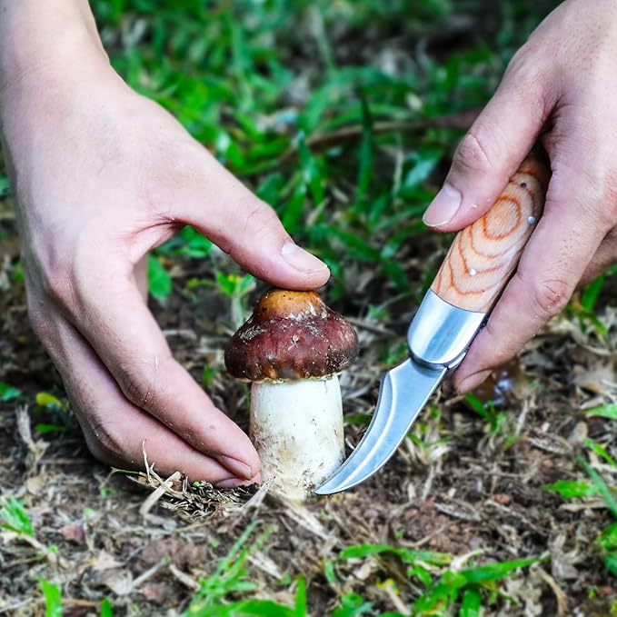 Mushroom Foraging Knife - Folding Knife with Brush and Sheath for Mushroom Lovers