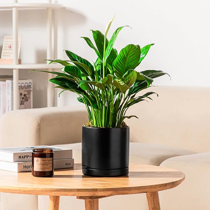 vancasso Ceramic Plant Pots, 3 Piece Planters for Indoor Plants, 4.25+5.25+6.25 Inch Flower Pots with Drainage, Plant Pots Indoor for Succulent, Pothos, Snake Plant and Money Tree, Etc (Black)
