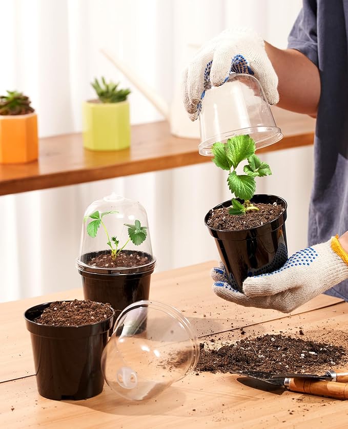 homenote Nursery Pots for Plants,5 Inch Plant Pot for Planting with Humidity Domes Plastic Seedling with Drainage Holes Seed Starter Flower with 10 Labels Black (15 Pack)