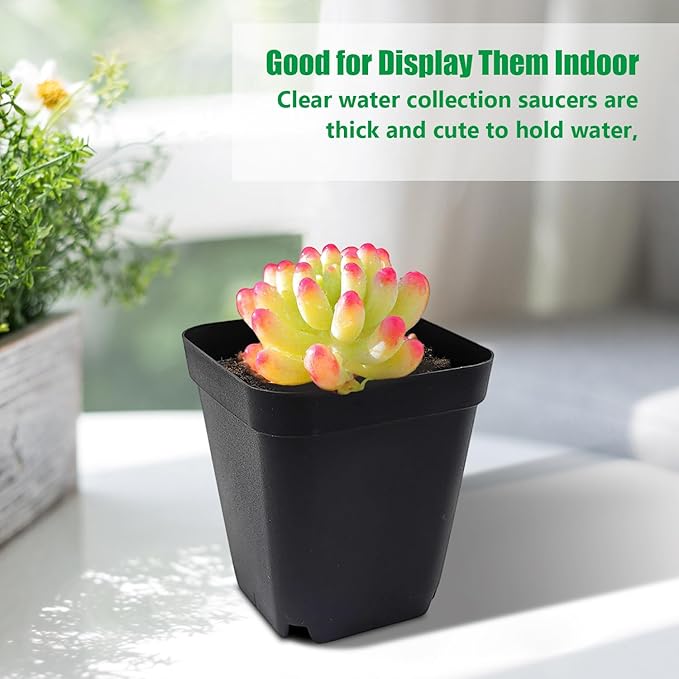 Square Nursery Pots 3" 120Pcs Deep Succulent Plastic Pots Small Flower Planter Seeds Starter Germination Pots with Drainage (Black,2.7Inches,120Pcs)