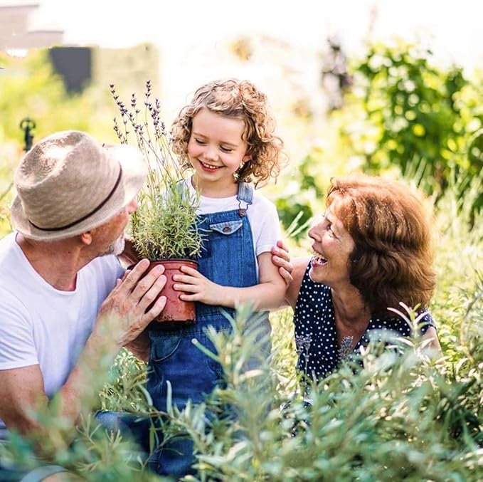100 PCS 7 Inches Plastic Plant Nursery Pots, Reusable for Succulents, Seedlings, Cuttings, Transplanting,Seedlings Plastic Plant Pots with Drainage Holes