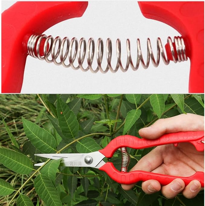 Extra Short Edge Stainless Steel Pruning Shears Fruit Trees Bonsai Sharp Garden Scissors Tool
