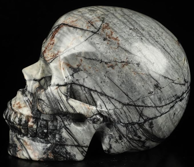 Skullis 5.0”Picasso Jasper Crystal Skull, Hand Carved Gemstone Fine Art Sculpture, Reiki Healing Stone Statue.3159