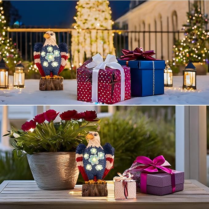 TAKE ME Gardening Gifts Birthday Gifts for Women Garden Outdoor Decor Amercian Eagle Solar Lights Outdoor Eagle Lovers Womens Gfits for Patio, Yard (America Eagle)