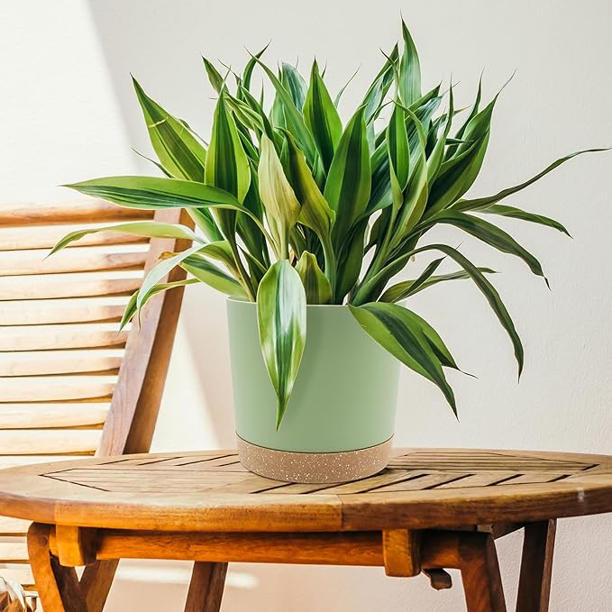 QCQHDU 6.5 inch Plant Pot, 2 Pack Planters for Indoor Plants with Drainage Holes & Saucer, Outdoor Flower Pots Home Garden Modern Decor