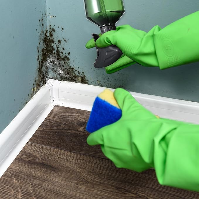 Baderke 2 PCS 360° Spray Bottle, 16 oz Upside Down Spray Bottles, Plastic Spray Bottles is Nice for Plants, Cleaning Solutions, Durable Nozzle w/Fine Mist and Stream Setting(Green)