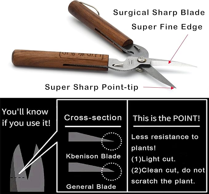 Razor Sharp Pruning Shears for Gardening, Garden Shears Carbon Steel Blade, Precision garden scissors Walnut Wood handle, 6.8” Garden Snips for Trimming Fruits, Vegetables, Flowers, Buds, Bonsai