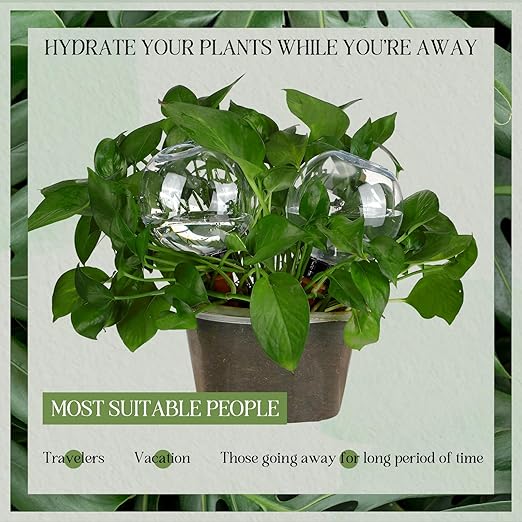Domensi 4 Pcs Watering Globes Automatic Plastic Self Watering Planter Insert Waterer Watering Bulbs 17 oz for Indoor Plants Drip Irrigation Plant Watering Devices with Slow Release Control for Garden