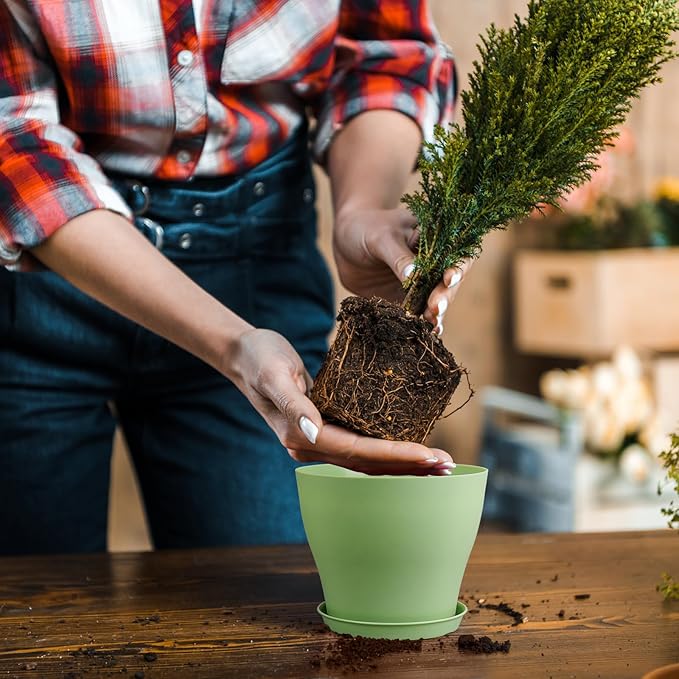 6 inch Plastic Nursery Pots, Seedling Pots, 16 Pack Plant Pots for Small Indoor Outdoor Plants, Flower Pots with Drainage Holes and Saucers, Decorative Planters for House Plants, Colorful