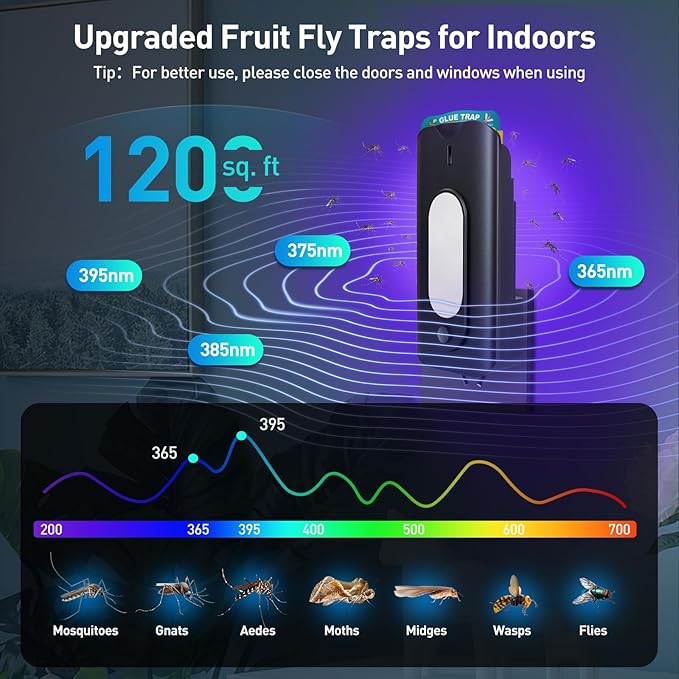 Fruit Fly Trap for Indoors-2PCS, 2 in 1 Fly Trap Indoor with Night Light for Home with 20 Refills, Gnat Traps for House Indoor, Plug-in Insect Trap for Gnats, Flies, Moths-Black