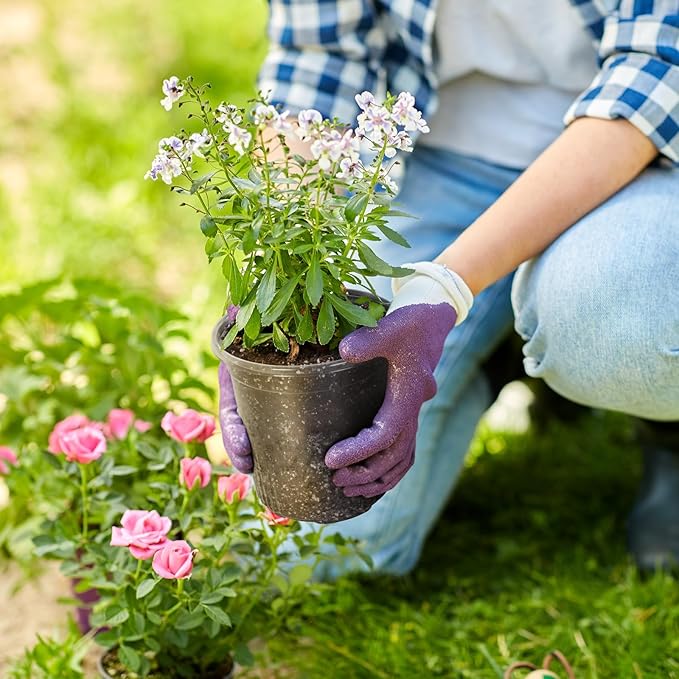 1 Gallon Reinforced Clear Nursery Pots with Drainage Hole, 30 Packs, 6.7 Inch Transparent Pots for Seedlings, Indoor/Outdoor Plants, Veggies, Flowers, and Professional Nursery Use