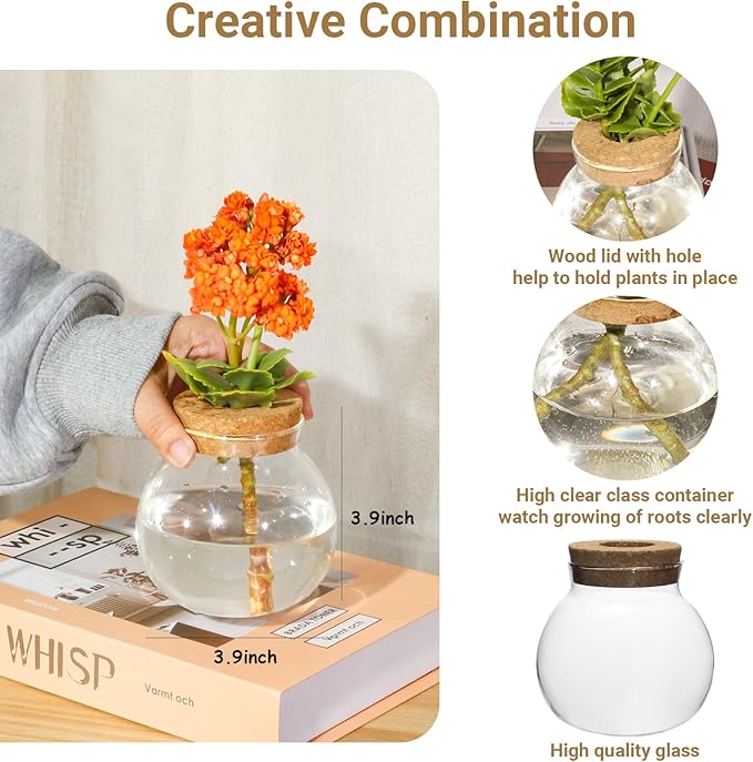 Plant Propagation Station,Hydroponic Terrarium Vase,Desktop Glass Planter Station,for Houses,Garden Decorations,ropagating Hydroponic Plants,Centerpiece Office,Home Garden Decor (2)