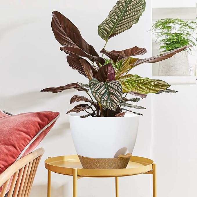 WOUSIWER 10 inch Self Watering Planters, 2 Pack Large Plastic Plant Pots with Deep Reservior and High Drainage Holes for Indoor Outdoor Plants and Flowers, White with Terracotta