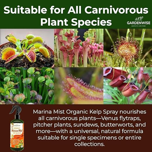 100% Organic Marina Mist Carnivorous Plant Food | Liquid Kelp Foliar Spray for Plants - Kelp Fertilizer for Venus Flytraps, Sundew, Butterworts, Pitcher Plants 16 Oz