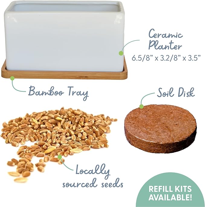 The Cat Ladies Organic Cat Grass Growing kit with Organic Seed Mix, Soil and Ceramic Planter with Bamboo Tray. Natural Hairball Control and Remedy for Cats