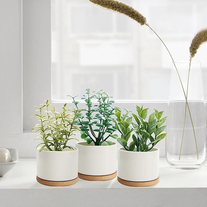 ZOUTOG Succulent Pots, White Mini 3.15 inch Ceramic Flower Planter Pot with Bamboo Tray, Pack of 6 - Plants Not Included