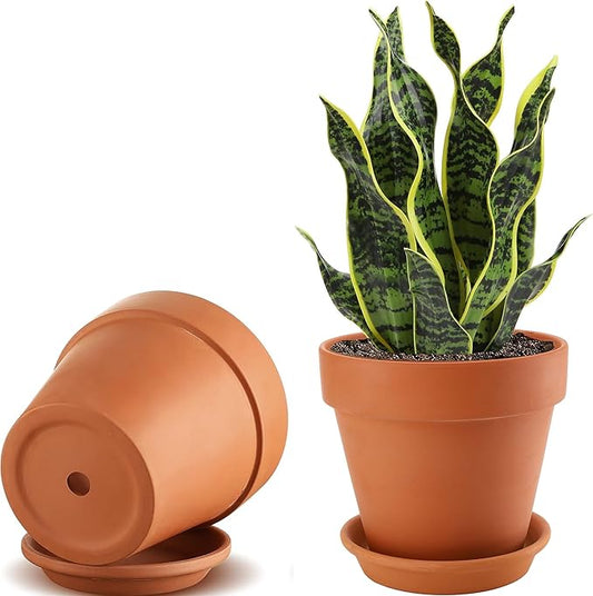 2 Pack Large Terracotta Pots with Saucer for Plants, 8 Inch Terra Cotta Plant Pot with Drainage Hole, Clay Flower Planter Pot with Tray for Indoor Plant