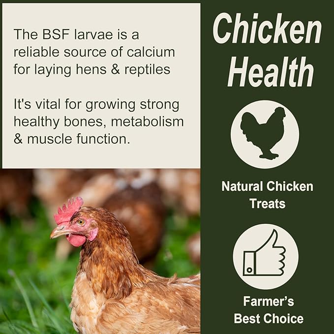 Adaman Dried Black Soldier Fly Larvae 5 LBS-100% Natural BSF Larvae-More Calcium Than Dried Mealworms High-Protein Chickens Treats, Food for Birds, Ducks, Layer Hens