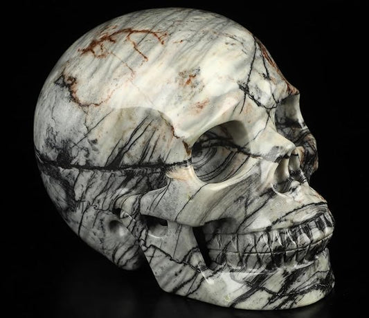 Skullis 5.0”Picasso Jasper Crystal Skull, Hand Carved Gemstone Fine Art Sculpture, Reiki Healing Stone Statue.3159