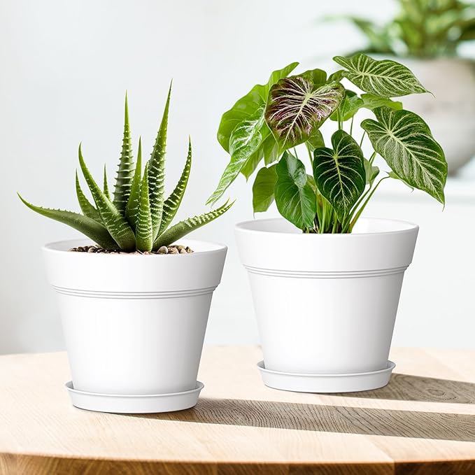 5 Inch Plastic Plant Pots with Drainage Holes and Trays – 6 Pack Small Nursery Pots for Indoor & Outdoor House Plants and Flowers, Seedling Starter Planters, White