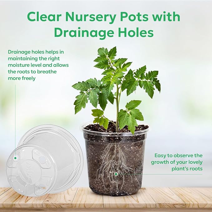 50 Packs 4 Inch Reinforced Clear Nursery Pots with Drainage Hole, Transparent Variety Pack Plastic Plant Pot Seedling Planter Seed Starter Flower