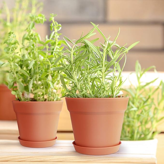 Homenote Pots for Plants, 15 Pack 6 Inch Plastic Planters with Multiple Drainage Holes and Tray - Plant Pots for All Home Garden Flowers Succulents (Terra Cotta)