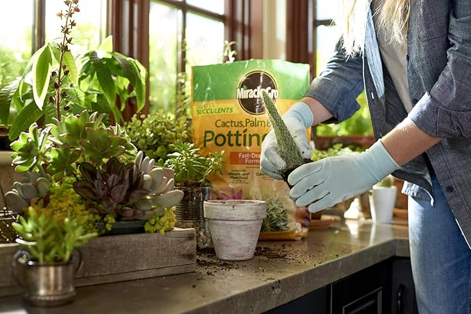 Miracle-Gro Cactus, Palm & Citrus Potting Mix and Succulent Plant Food - Bundle of Potting Soil (8 qt.) and Liquid Plant Food (8 oz.) for Growing and Fertilizing Indoor Succulents