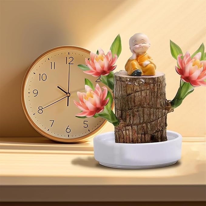 Brazilian Lucky Wood Kit with Monk, Grow Your Own Luck,Easy to Maintain Mini Brazil Woods for Indoor/Outdoor, Bedroom, Kitchen, Office Desk, Garden and Other Decorations (2E)
