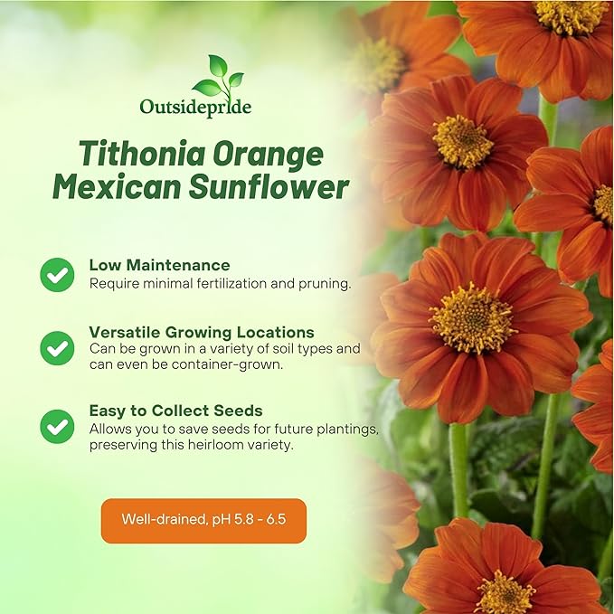 Outsidepride Goldfinger Mexican Sunflower Seeds - 500 Pcs Annual, Easy-to-Grow, Orange Tithonia Speciosa Flower Seeds w/Drought-Tolerant Blooms for Pollinator Gardens & Vibrant Summer Landscaping