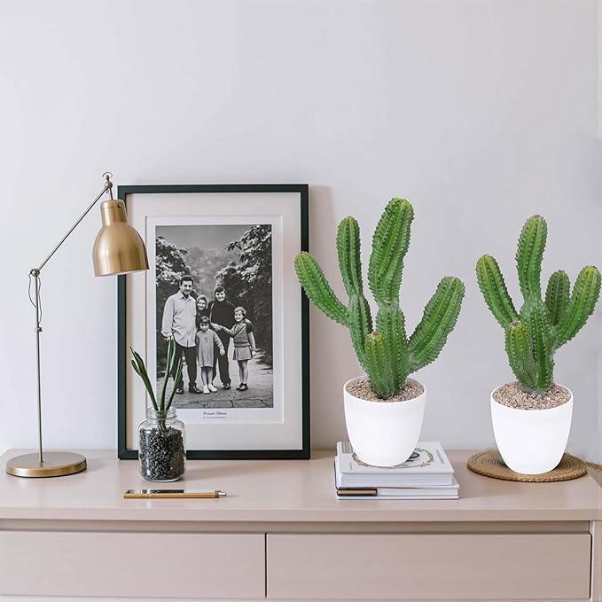 Artificial Cactus 14inch Faux Cacti Fake Succulent Plants for Indoor Outdoor Home Office Garden Decor