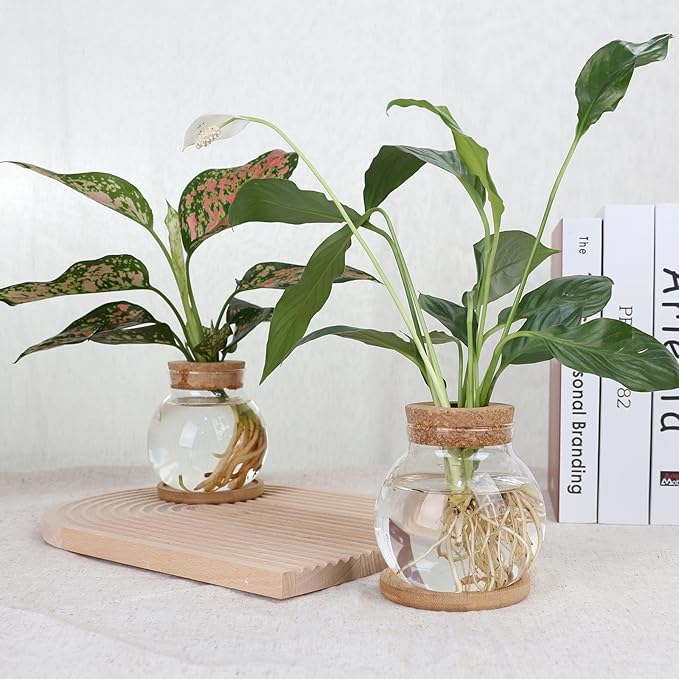 Plant Propagation Station,Hydroponic Glass Container Vase Jars, with Wooden Saucer for Desks, Houses, Garden Decorations, Home Kitchen Decorations and Gifts for Plant Lovers (4)
