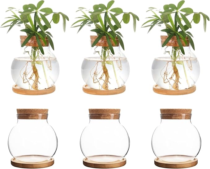 Plant Propagation Station,Hydroponic Glass Container Vase Jars, with Wooden Saucer for Desks, Houses, Garden Decorations, Home Kitchen Decorations and Gifts for Plant Lovers (6)