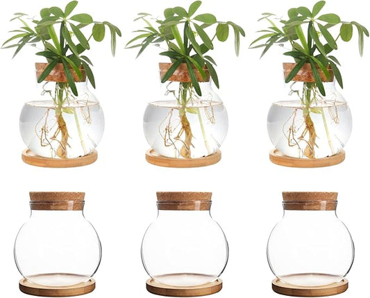 Plant Propagation Station,Hydroponic Glass Container Vase Jars, with Wooden Saucer for Desks, Houses, Garden Decorations, Home Kitchen Decorations and Gifts for Plant Lovers (6)